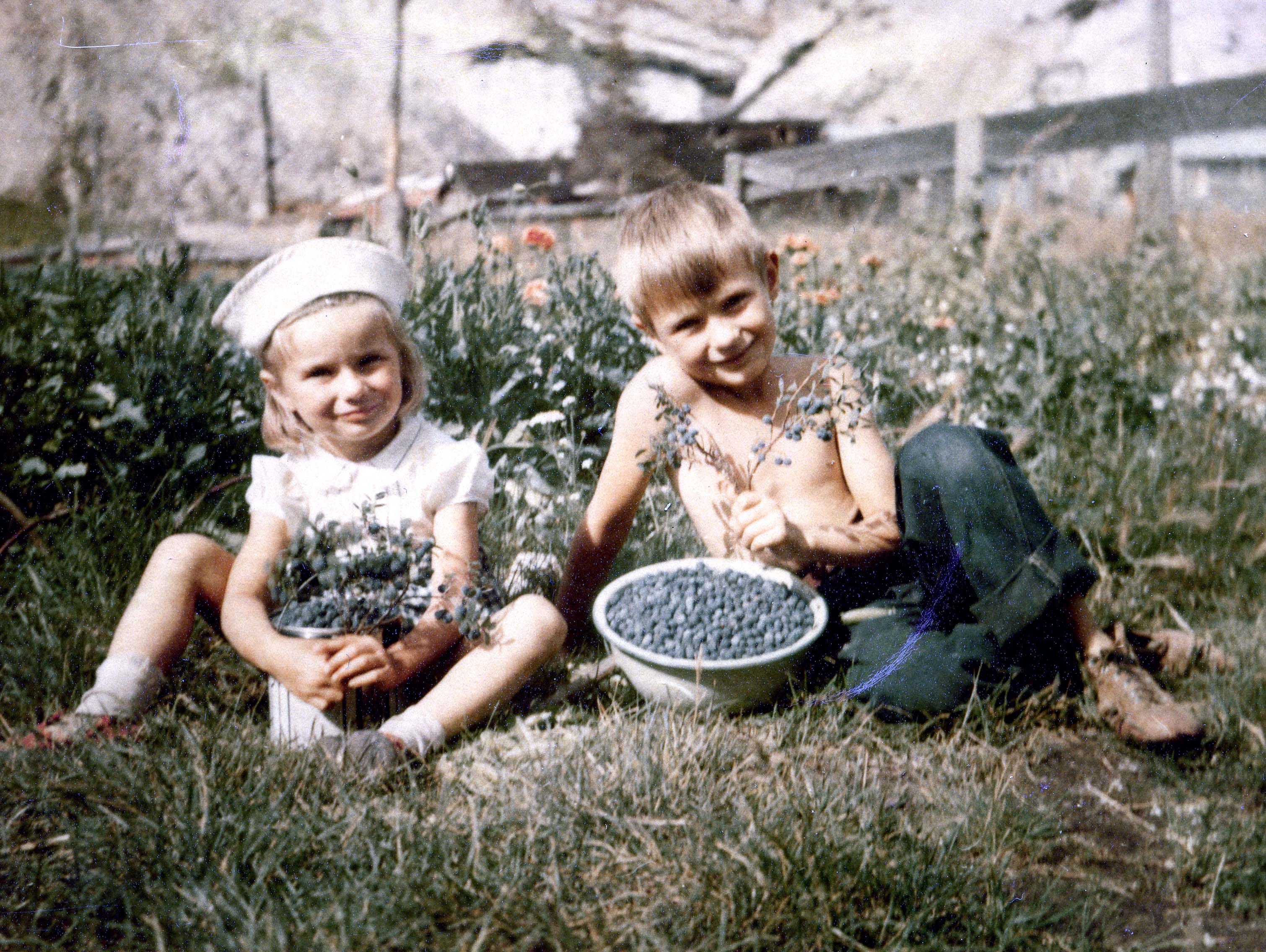 Joseph Emil Usibelli